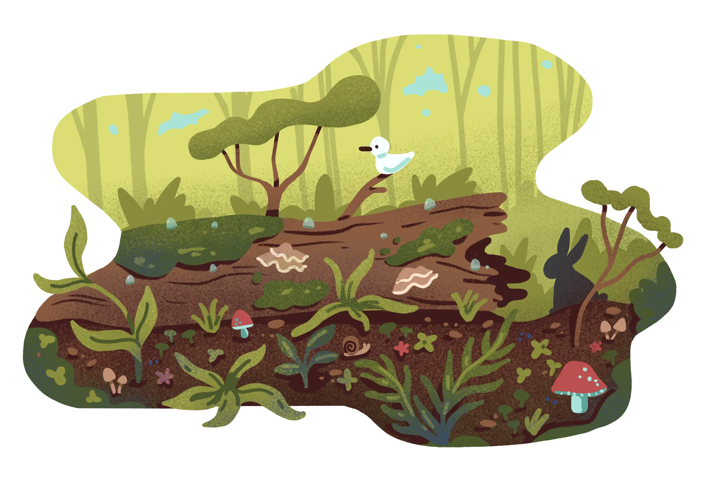 Tranquil Lake View: Nature's beauty reflected in a serene and peaceful landscape, inviting contemplation and harmony at Life After Life